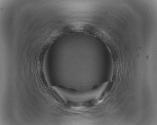 X0000065980223200603101430