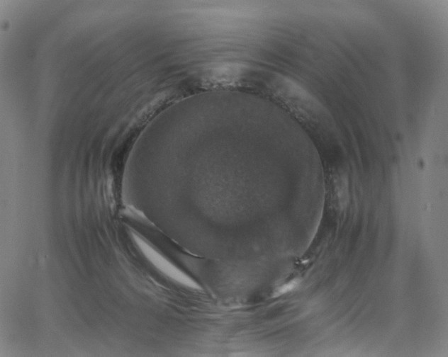 X0000065980224200603101430