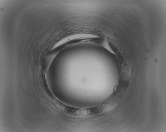 X0000065980225200603101430