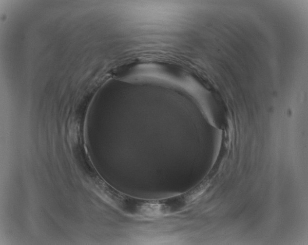 X0000065980227200603101430