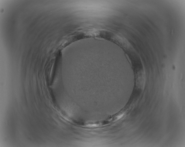 X0000065980229200603101430