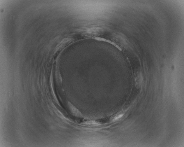 X0000065980231200603101430