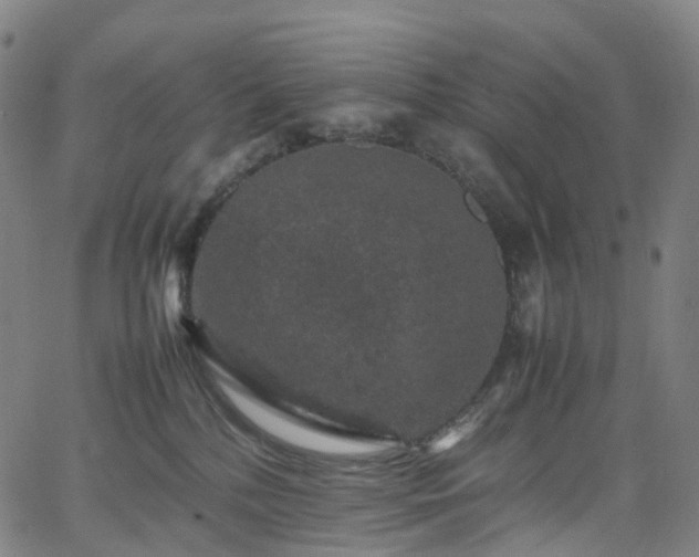 X0000065980232200603101430