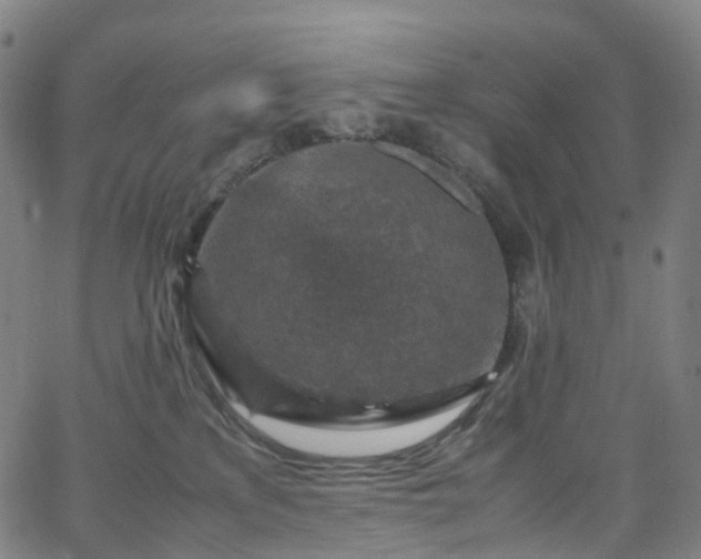 X0000065980233200603101430