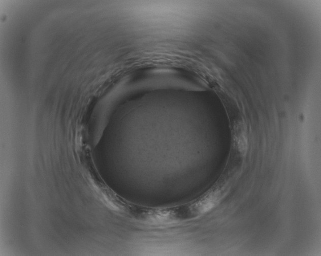 X0000065980235200603101430