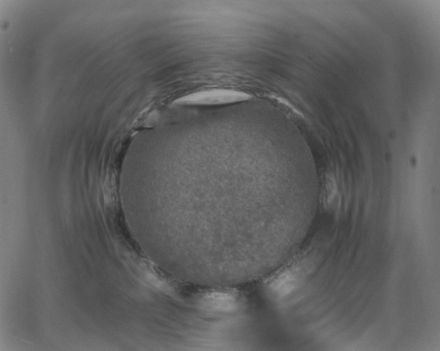 X0000065980236200603101430