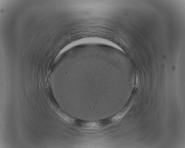 X0000065980237200603101430