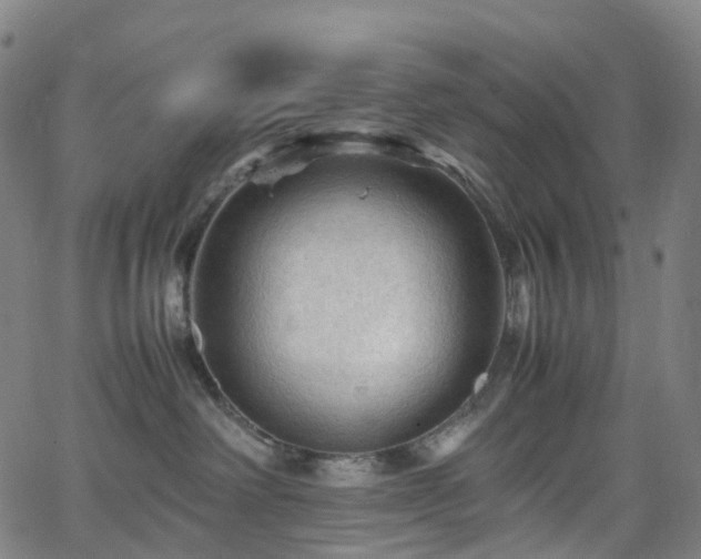 X0000065980238200603101430