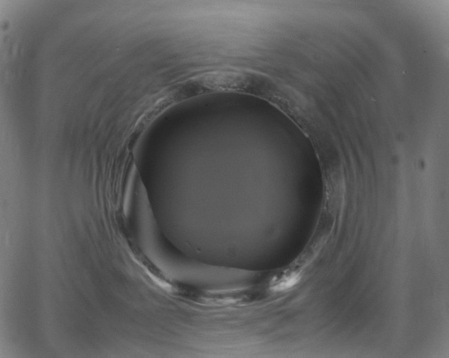 X0000065980239200603101430