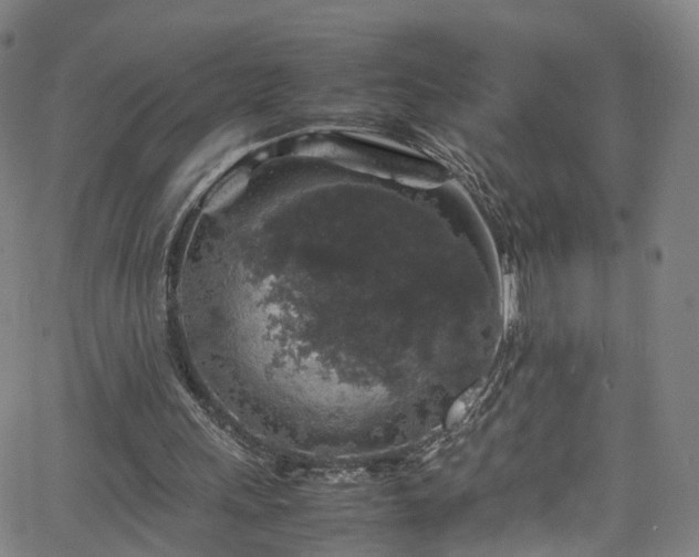 X0000065980243200603101429