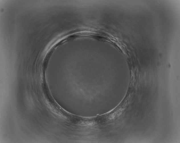 X0000065980247200603101429