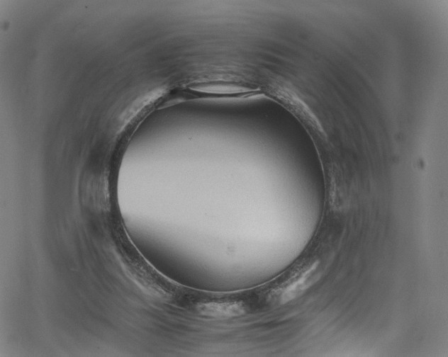 X0000065980251200603101429