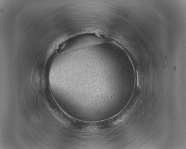 X0000065980252200603101429