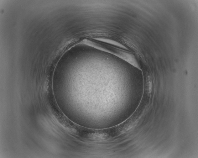 X0000065980255200603101429