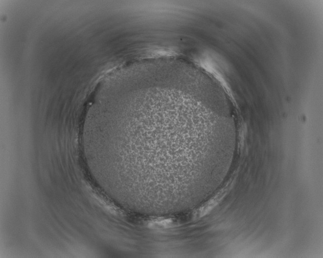 X0000065980257200603101429