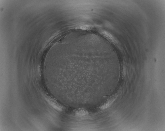 X0000065980258200603101429