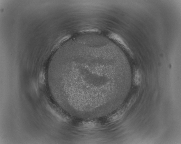 X0000065980259200603101429