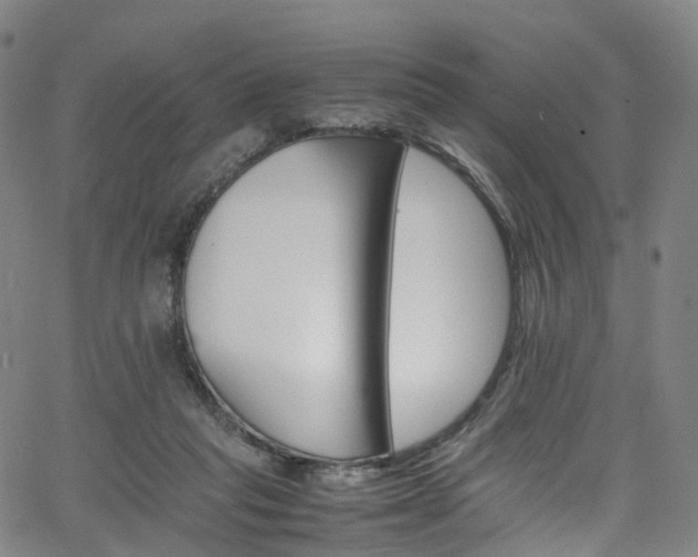 X0000065980261200603101429