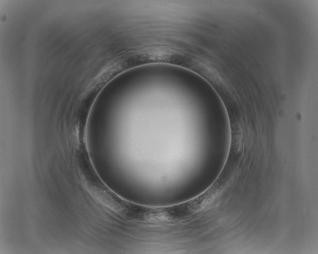 X0000065980262200603101429