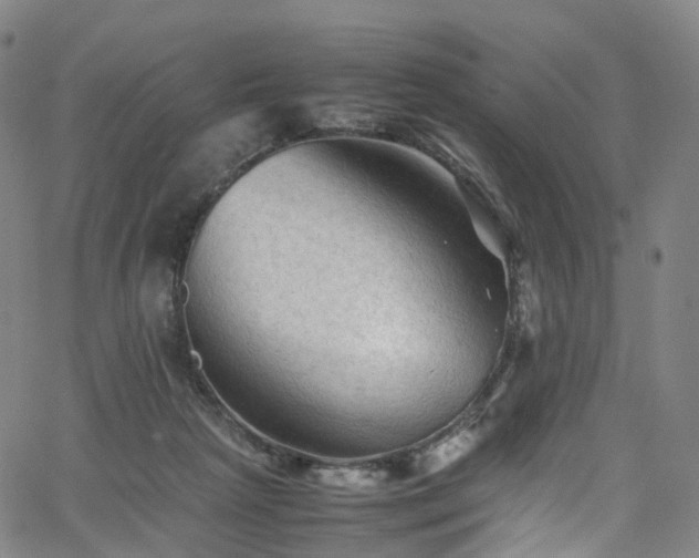 X0000065980265200603101430