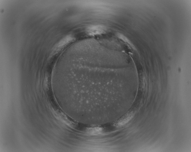 X0000065980266200603101430