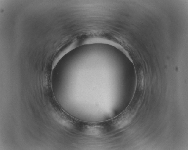 X0000065980268200603101430