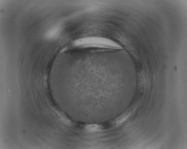 X0000065980269200603101430