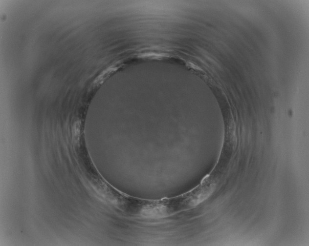 X0000065980271200603101430