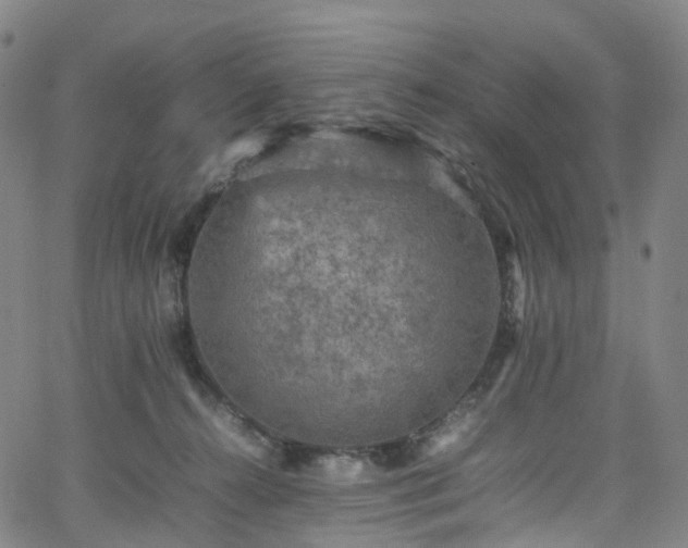 X0000065980272200603101430