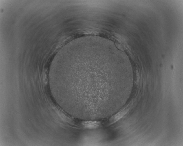 X0000065980273200603101430