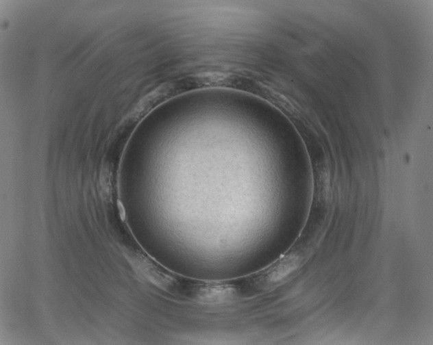 X0000065980274200603101430