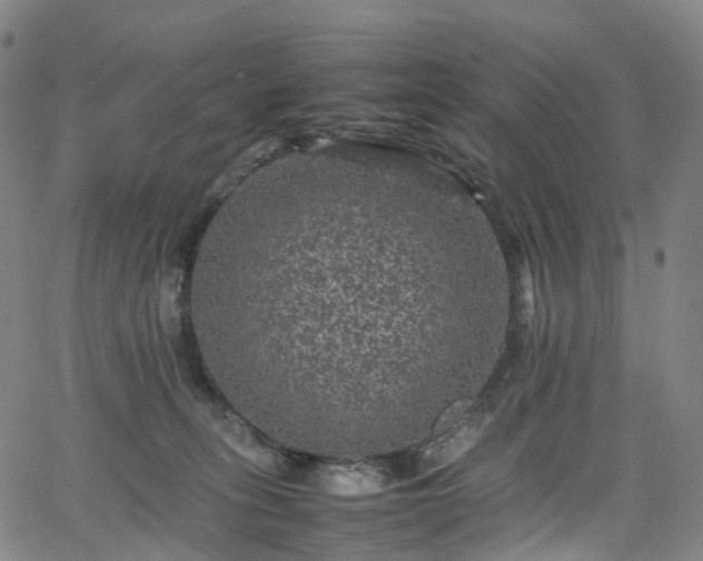 X0000065980275200603101430