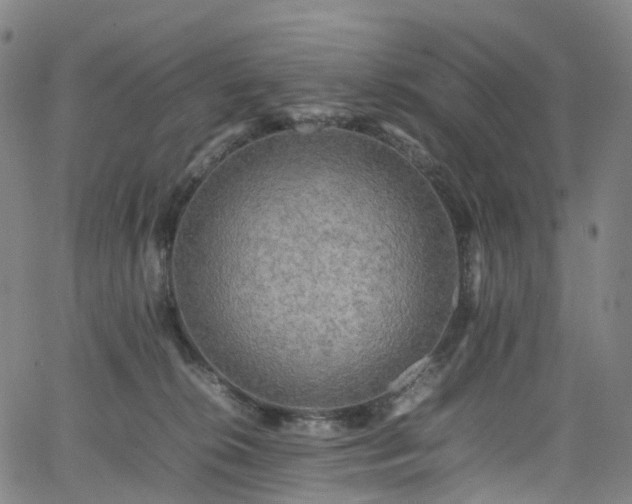 X0000065980276200603101430