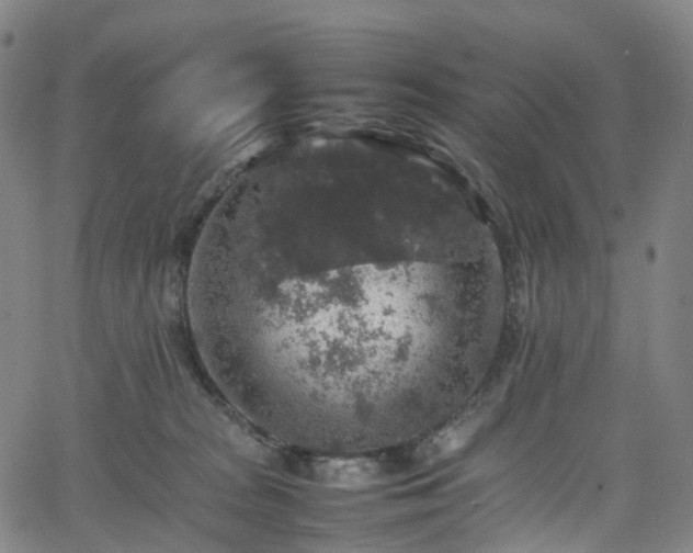 X0000065980277200603101430