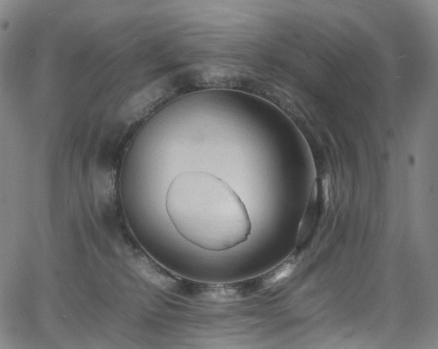 X0000065980278200603101430