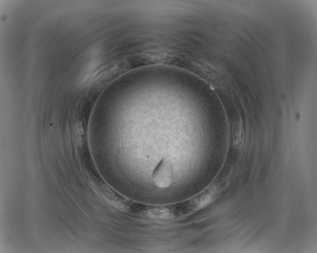 X0000065980279200603101430