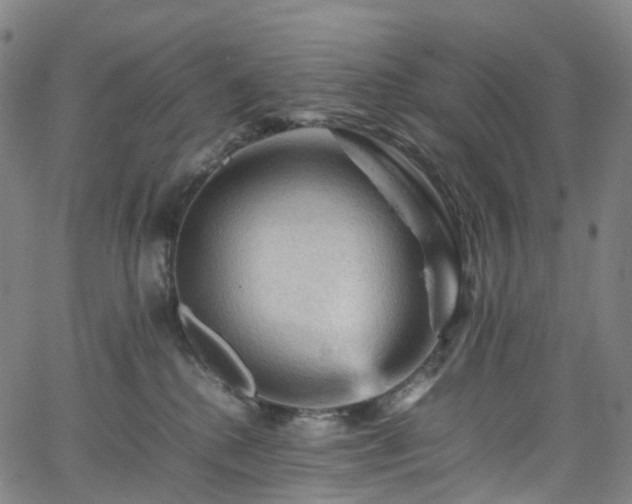 X0000065980280200603101430