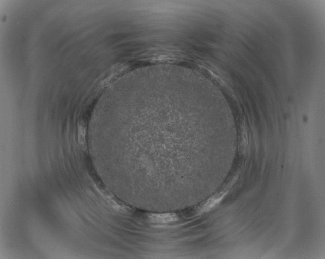 X0000065980281200603101430