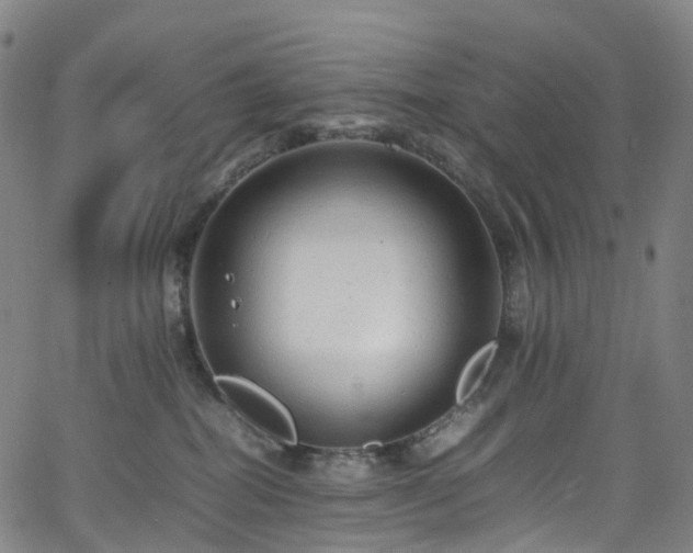 X0000065980282200603101430