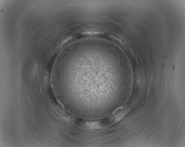 X0000065980283200603101430