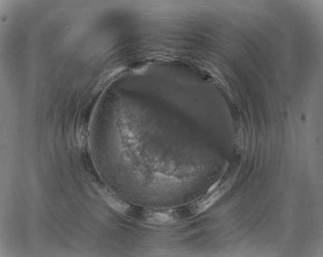 X0000065980285200603101430