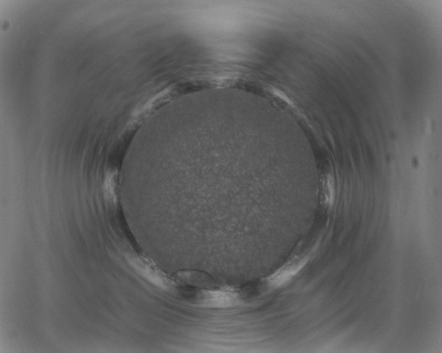 X0000065980286200603101430