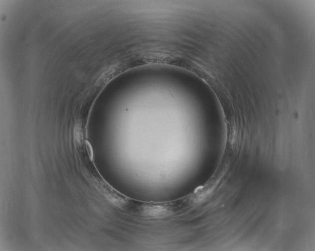 X0000065980287200603101430