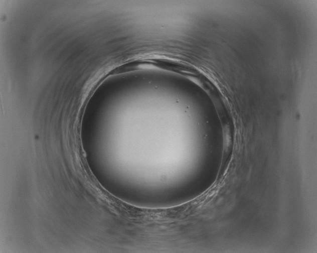 X0000065980289200603101429