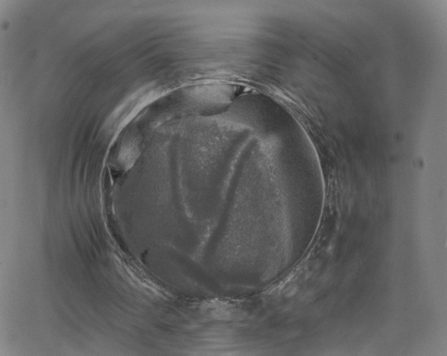 X0000065980290200603101429