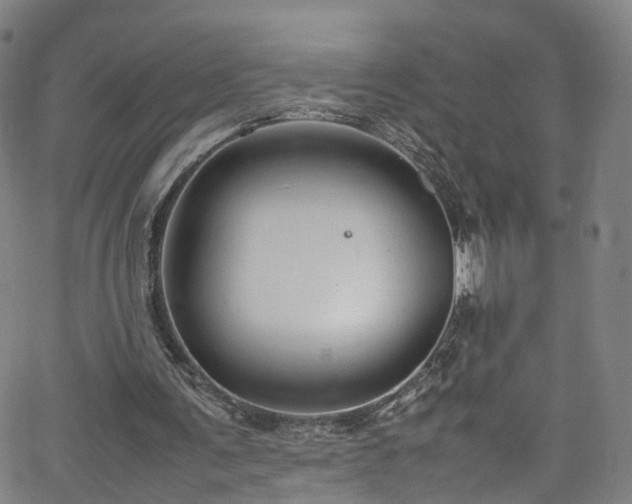 X0000065980291200603101429