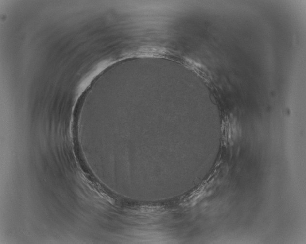 X0000065980292200603101429