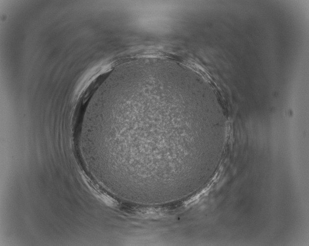 X0000065980293200603101429