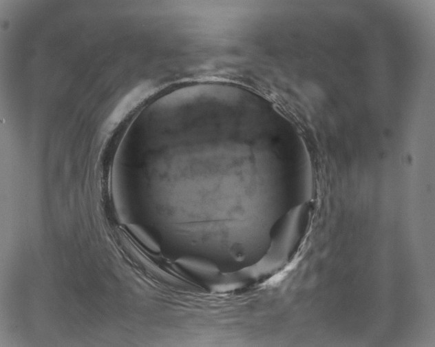 X0000065980295200603101429