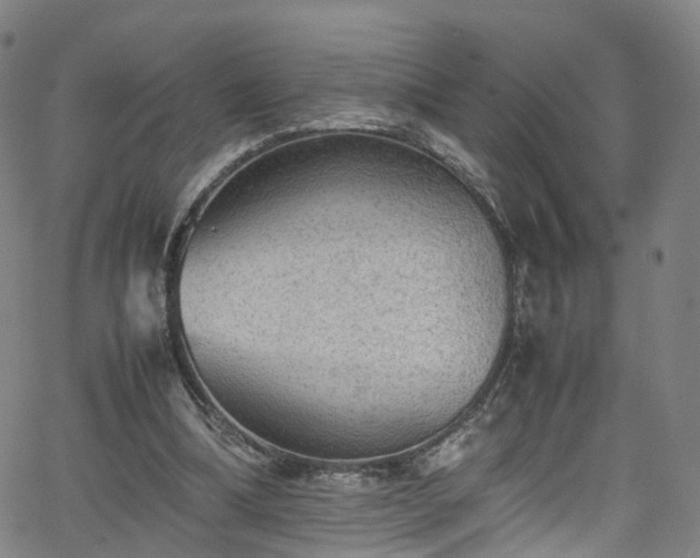 X0000065980298200603101429